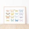 Butterfly Rainbow Art Print - Image 3