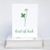 Best Of Luck Four Leaf Clover Cards - Set Of 10
