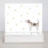Beagle Greeting Cards - Set Of 10