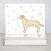 Golden Retriever Greeting Cards - Set Of 10