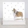 Sheltie Greeting Cards - Set Of 10