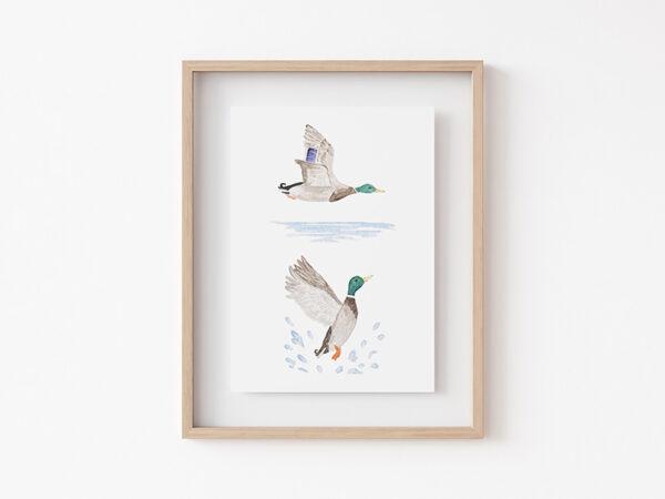 Tiny Mallard Duck Art Print 1
