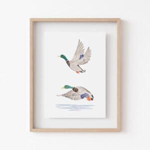 Tiny Mallard Duck Art Print 3
