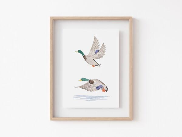 Tiny Mallard Duck Art Print 3