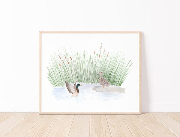Mallard Ducks And Cattails Watercolor Art Print