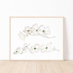Dogwood Flowers 8x10 Watercolor Art Print