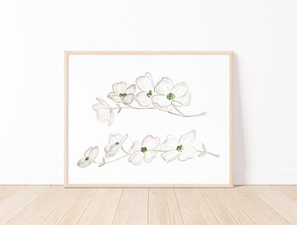 Dogwood Flowers 8x10 Watercolor Art Print