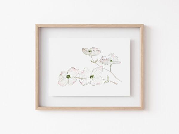Dogwood Flowers 5x7 Watercolor Art Print 2