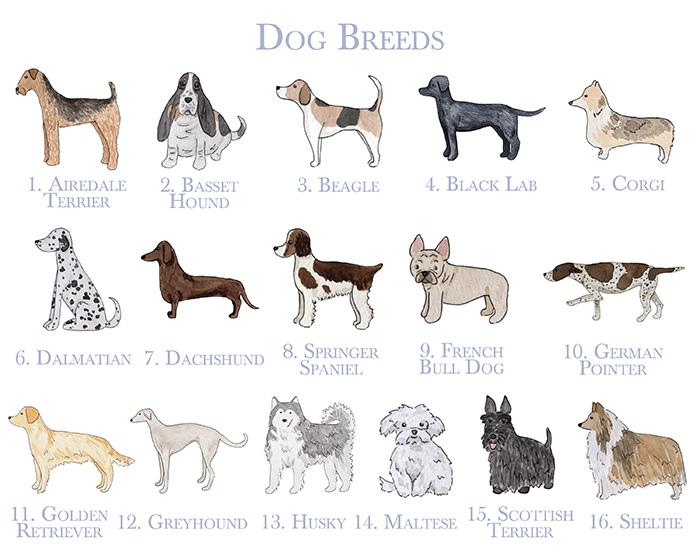 Personalized Dog Stationery With Watercolor Stripes - Image 4