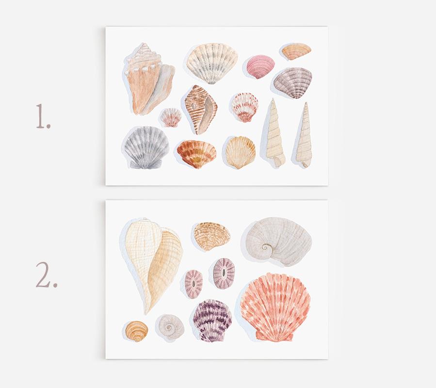 Seashells Watercolor Art Prints - Small - Image 3