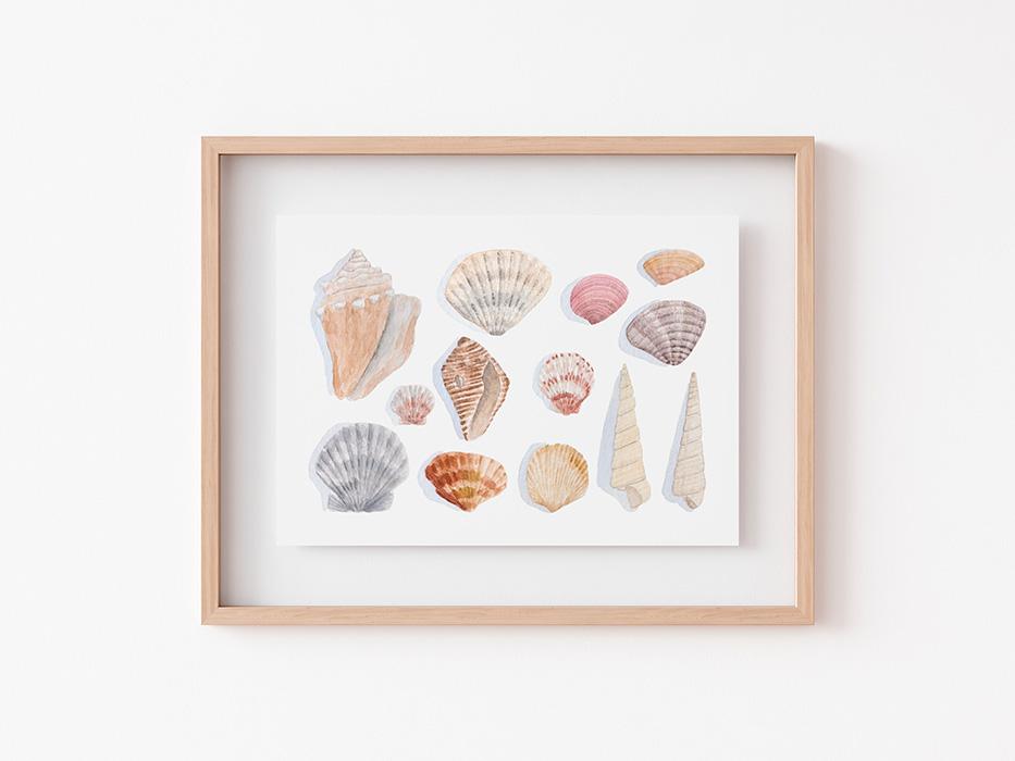 Seashells Watercolor Art Prints - Small