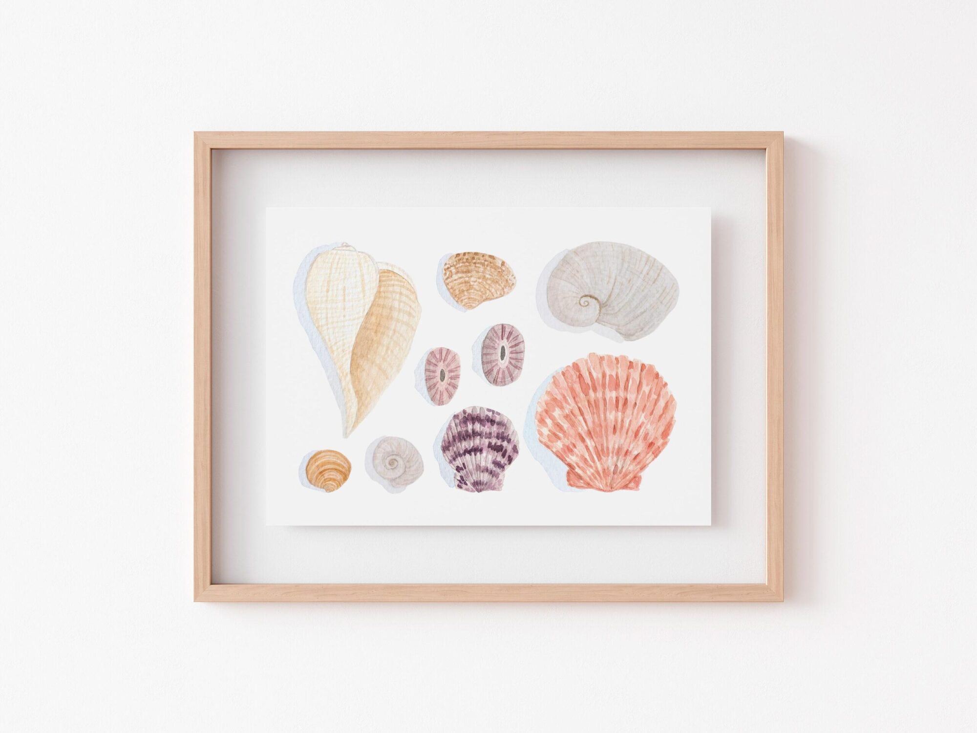 Seashells Watercolor Art Prints - Small - Image 2