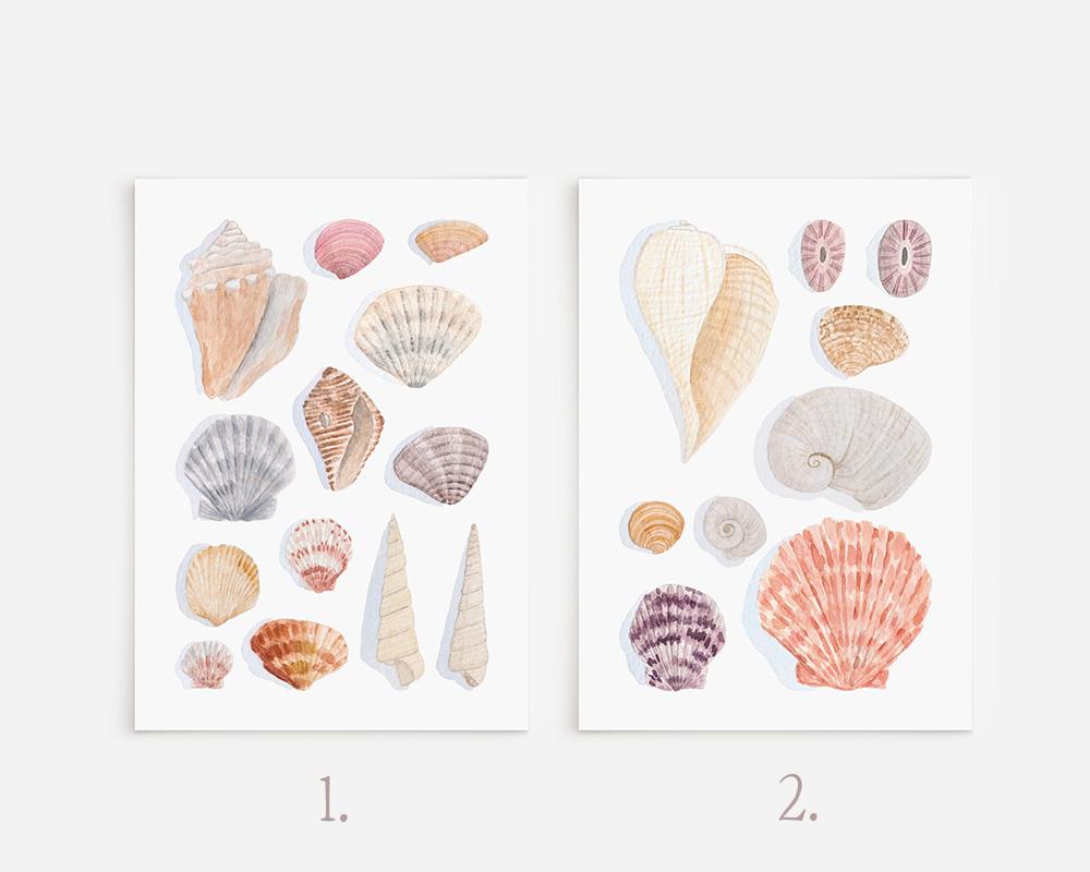 Seashells Watercolor Art Prints - Small - Image 6