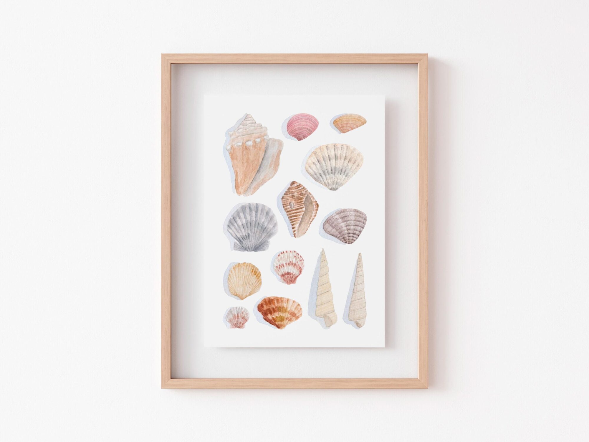 Seashells Watercolor Art Prints - Small - Image 4