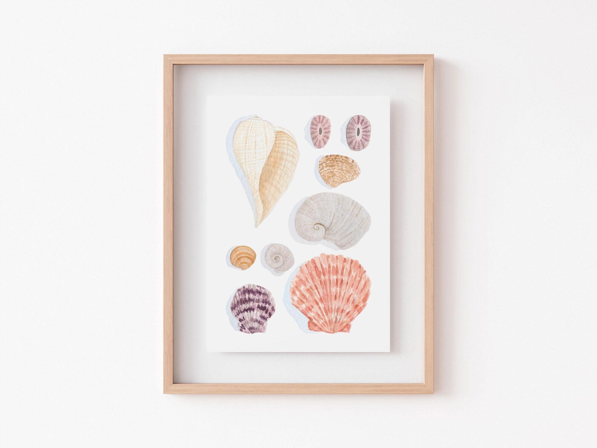 Seashells Watercolor Art Prints - Small - Image 5