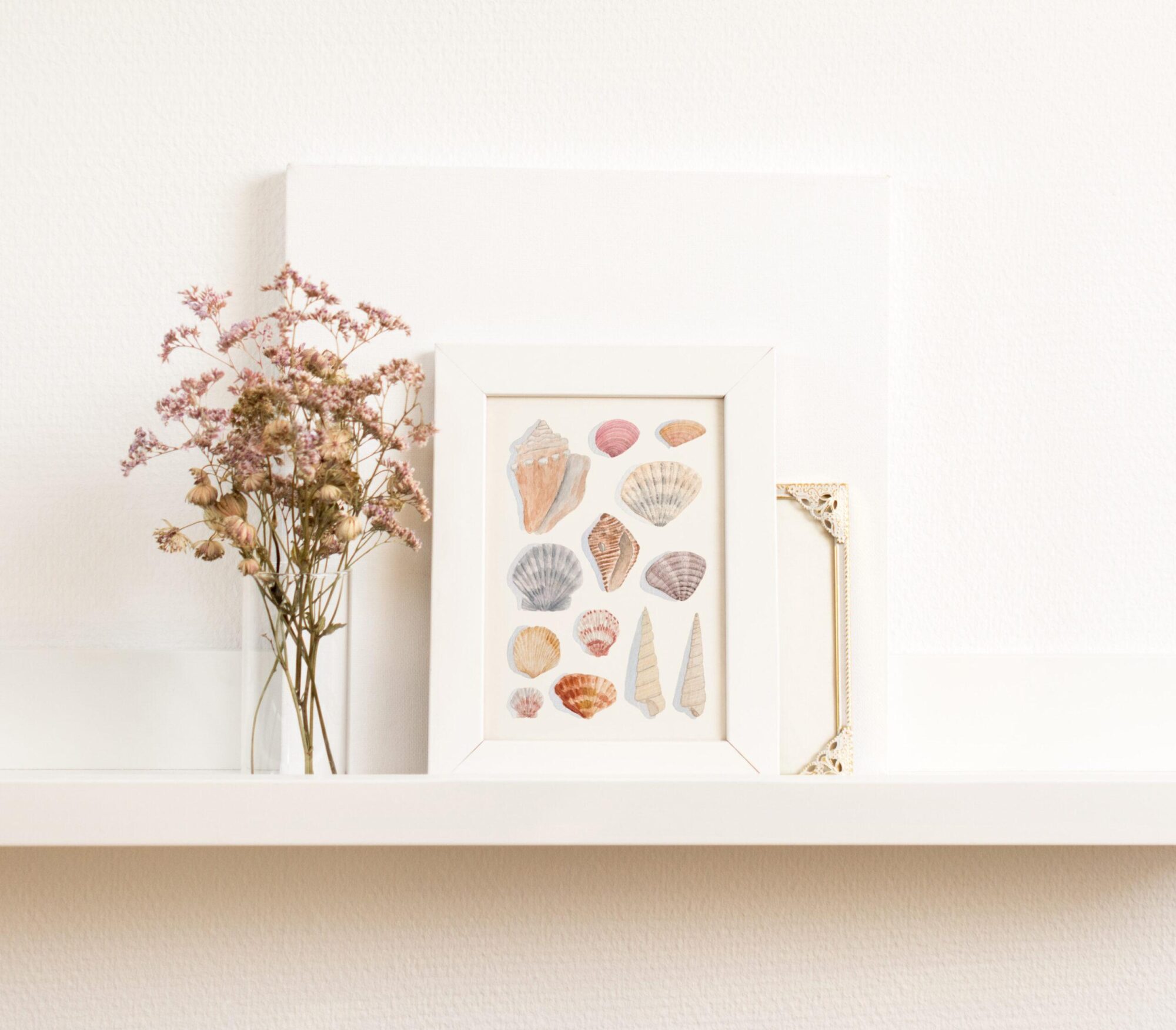 Seashells Watercolor Art Prints - Small - Image 7