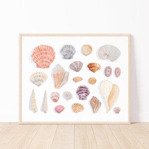 Seashells Watercolor Art Print - Large