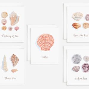 Seashell Watercolor Greeting Cards Variety Pack Of 10